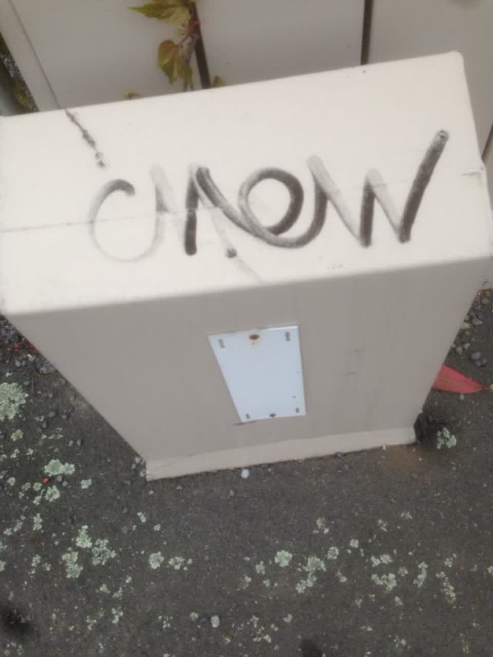 The photograph attached to this graffiti report