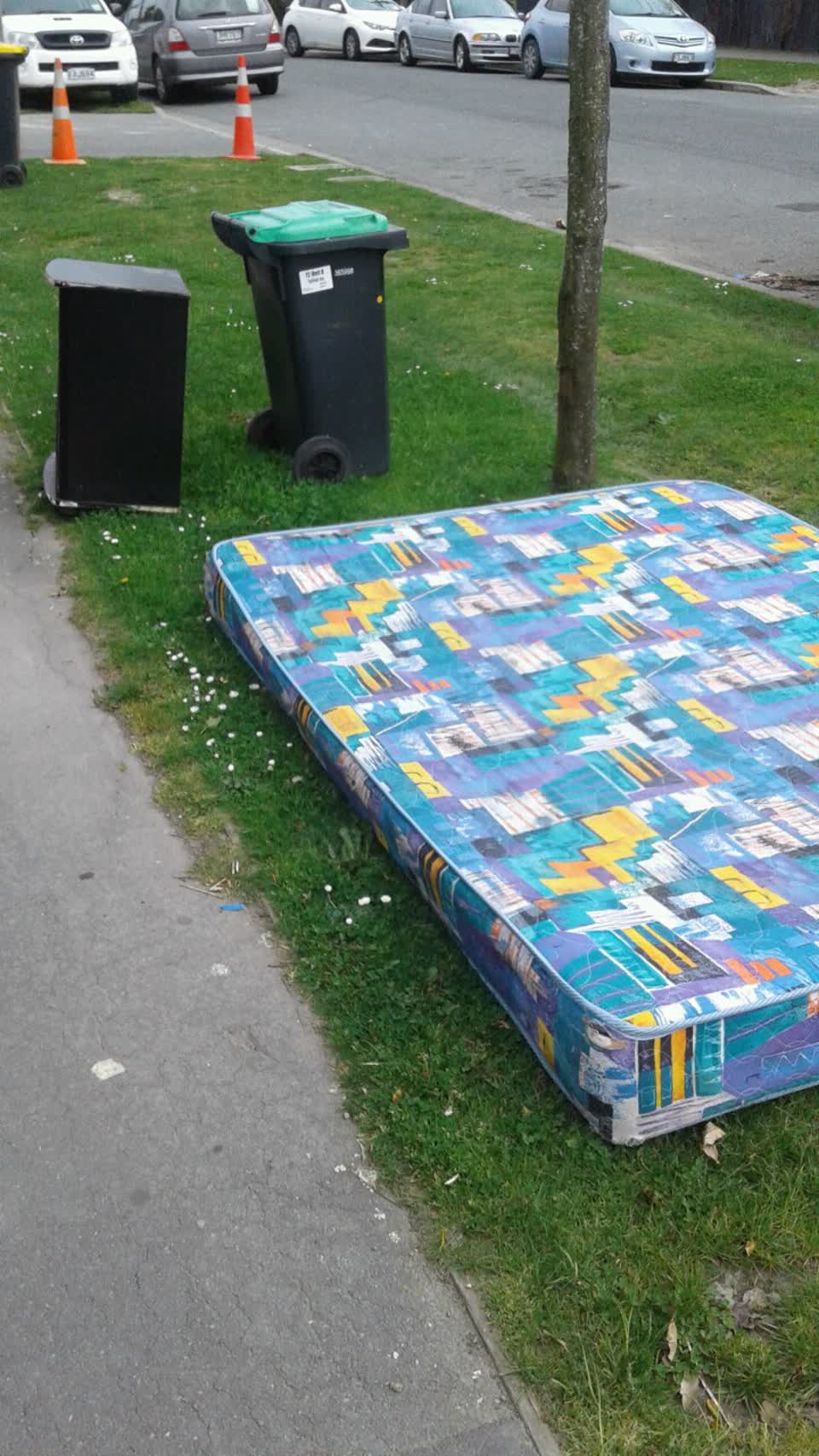 The photograph attached to this rubbish/recycling report