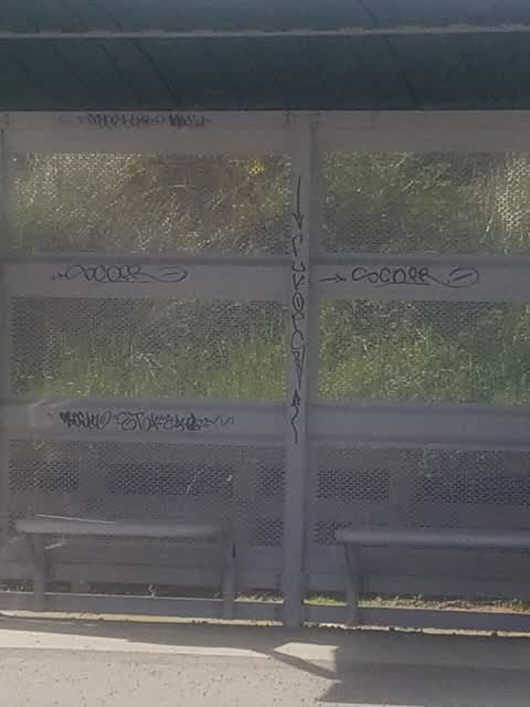 Graffiti — a report photo