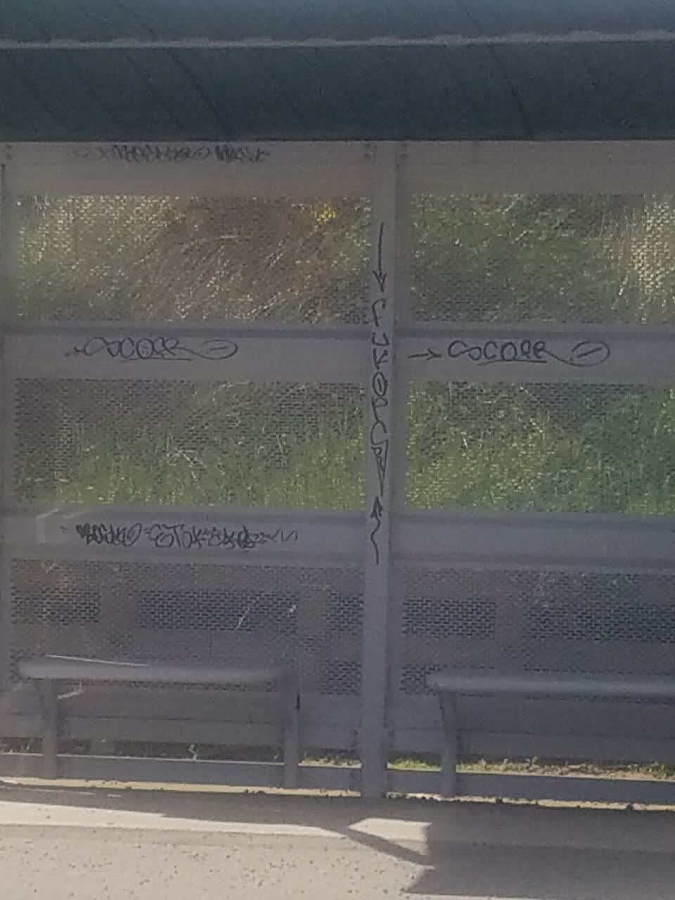 The photograph attached to this graffiti report