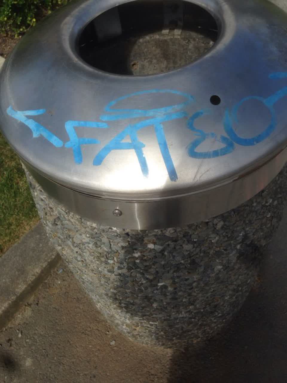 The photograph attached to this graffiti report