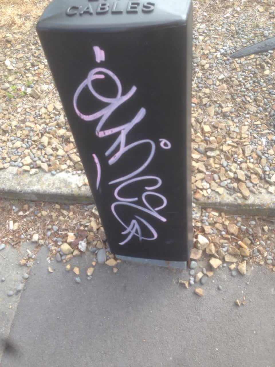 The photograph attached to this graffiti report