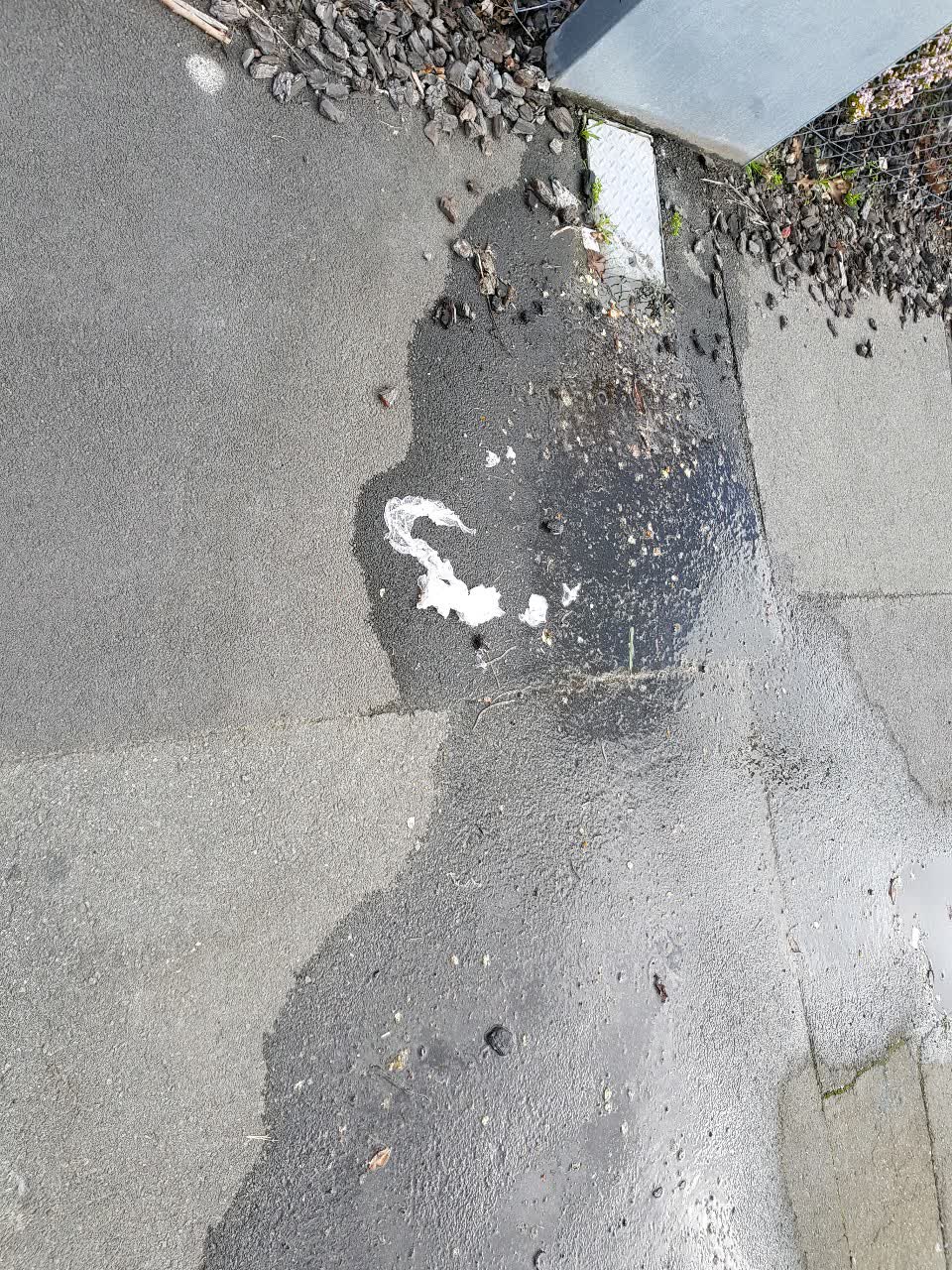 The photograph attached to this water supply report