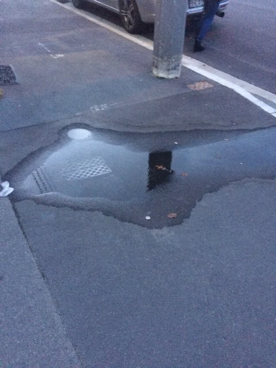 The photograph attached to this water supply report