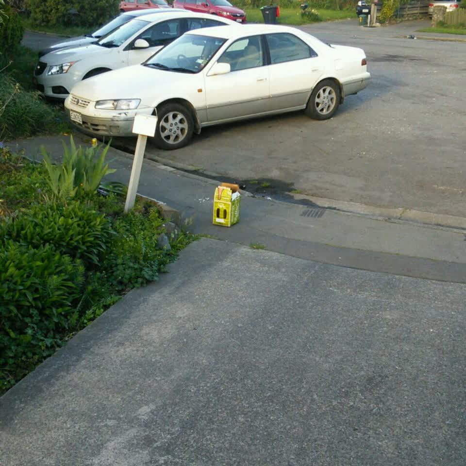 The photograph attached to this parks report