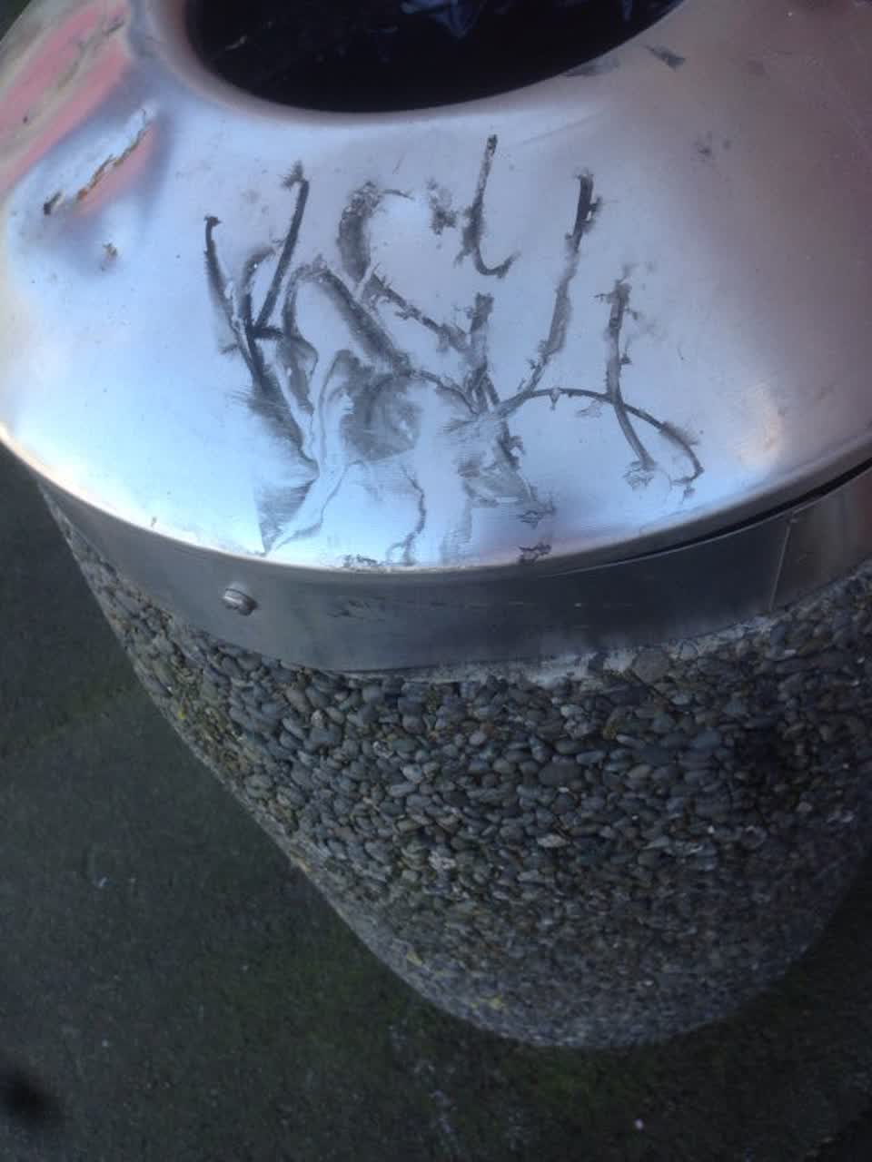 The photograph attached to this graffiti report
