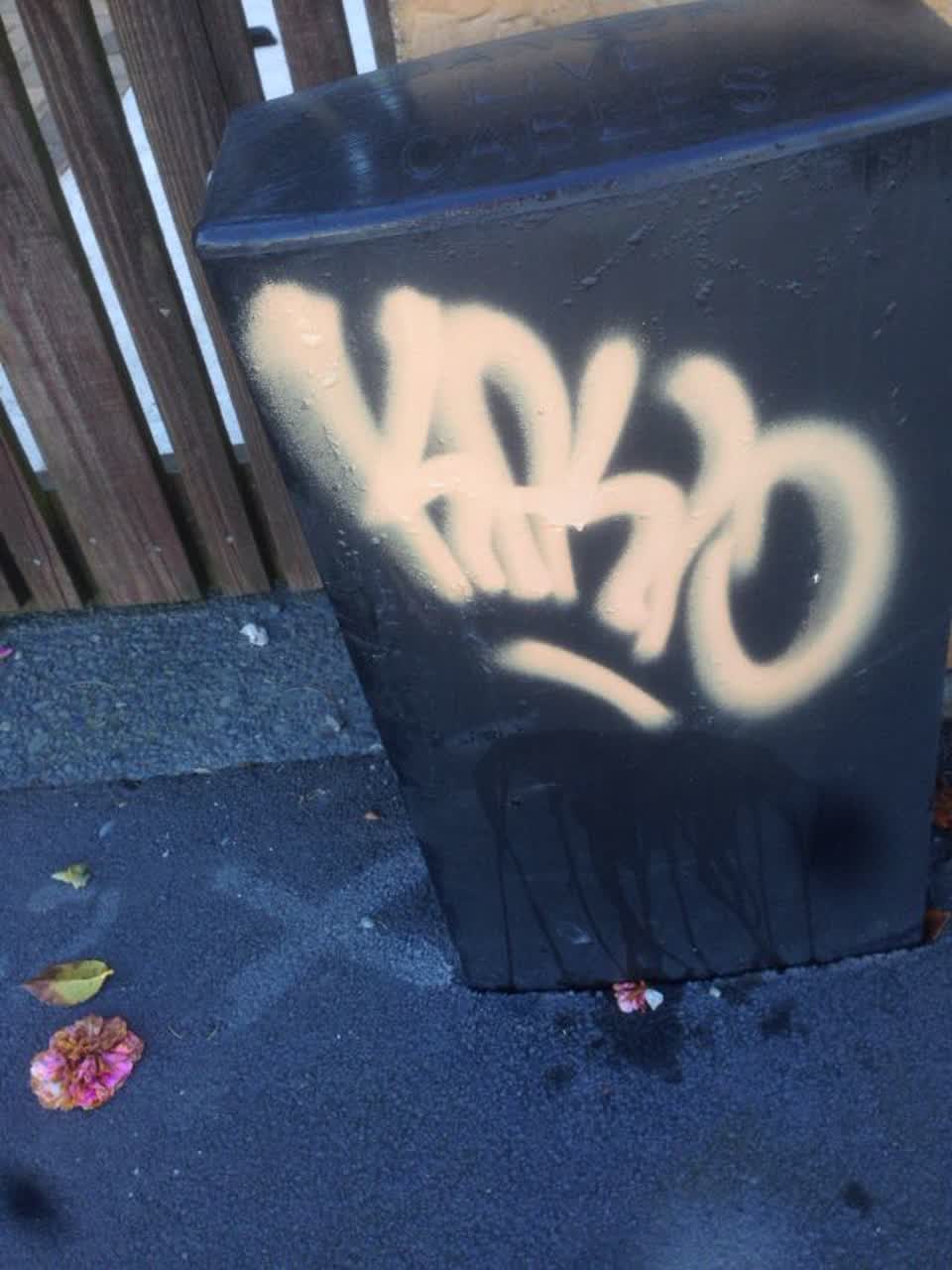 The photograph attached to this graffiti report