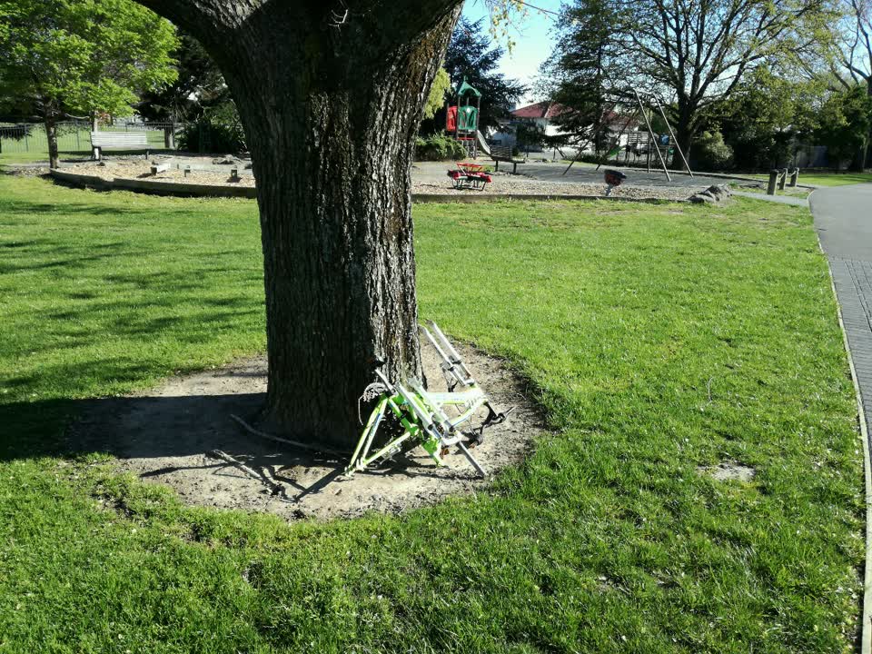 The photograph attached to this parks report