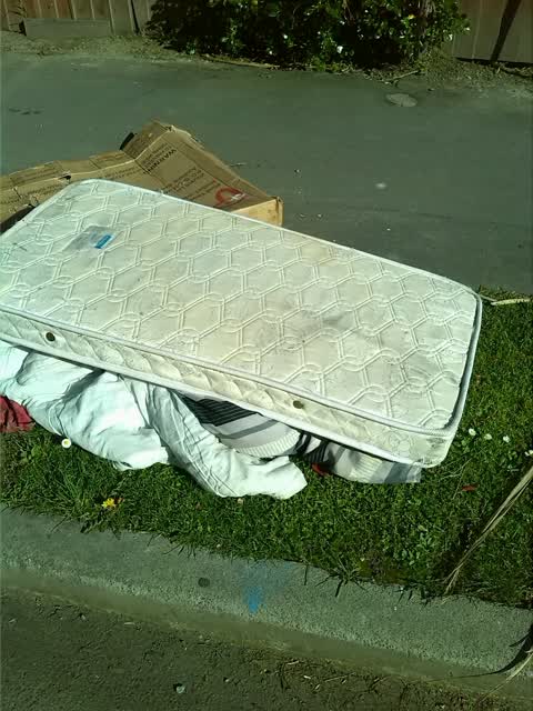 Rubbish/Recycling, a report photo
