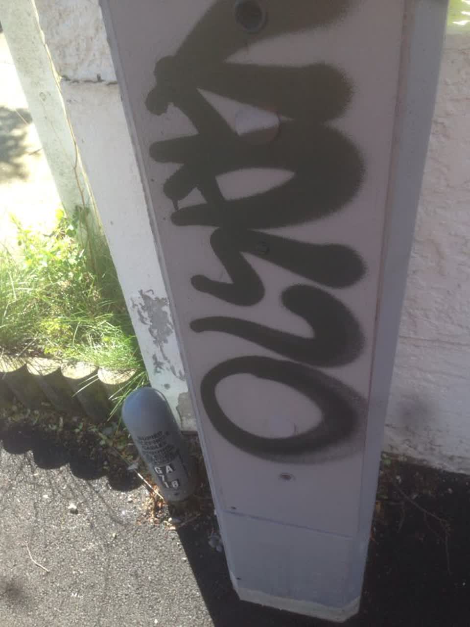 The photograph attached to this graffiti report