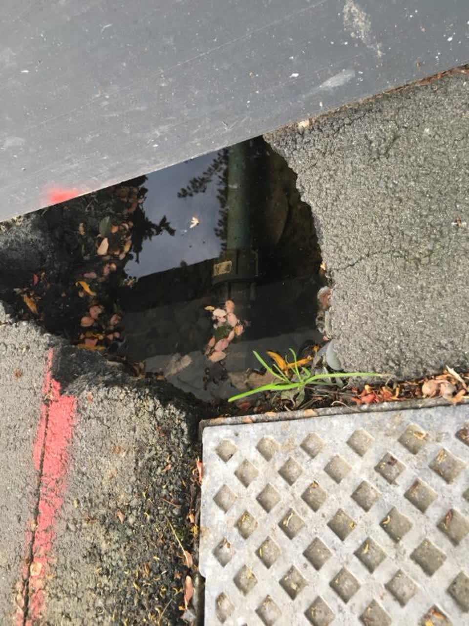 The photograph attached to this water supply report