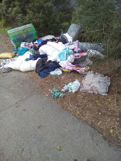 Parks, a report photo