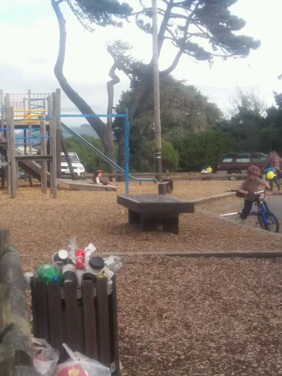 The photograph attached to this parks report