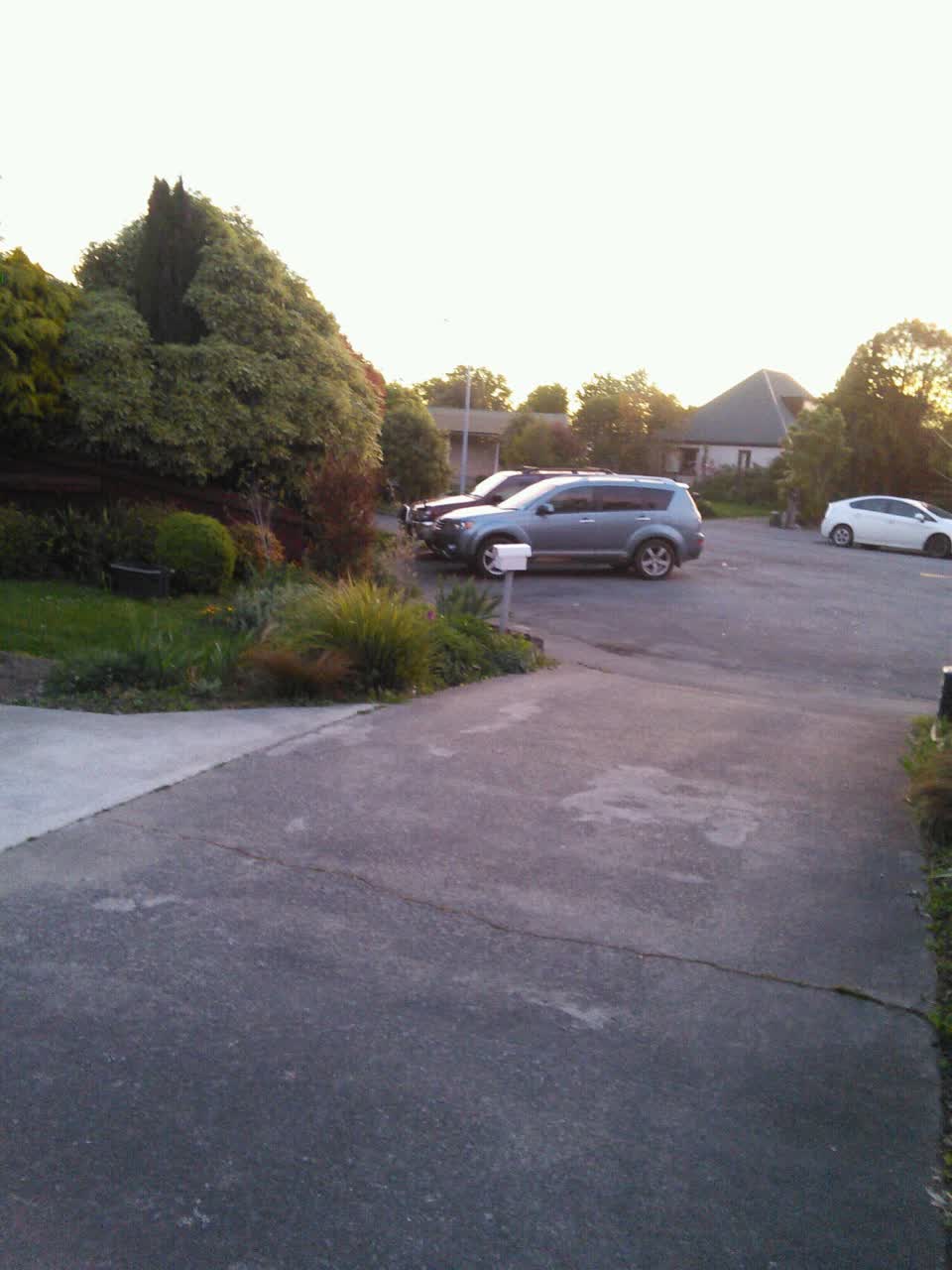 The photograph attached to this parks report