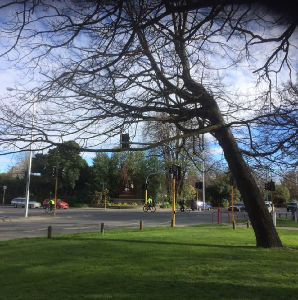 The photograph attached to this parks report