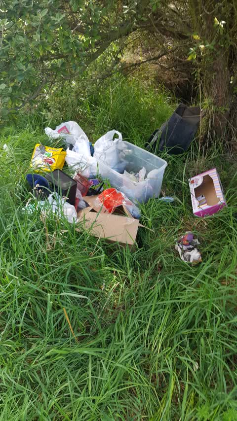 Rubbish/Recycling — a report photo