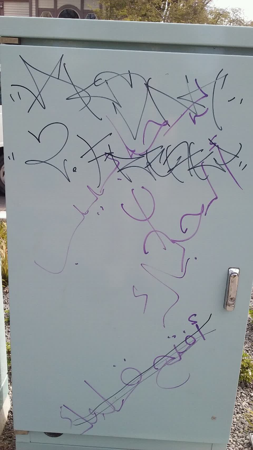 The photograph attached to this graffiti report