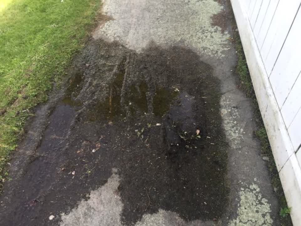 The photograph attached to this water supply report