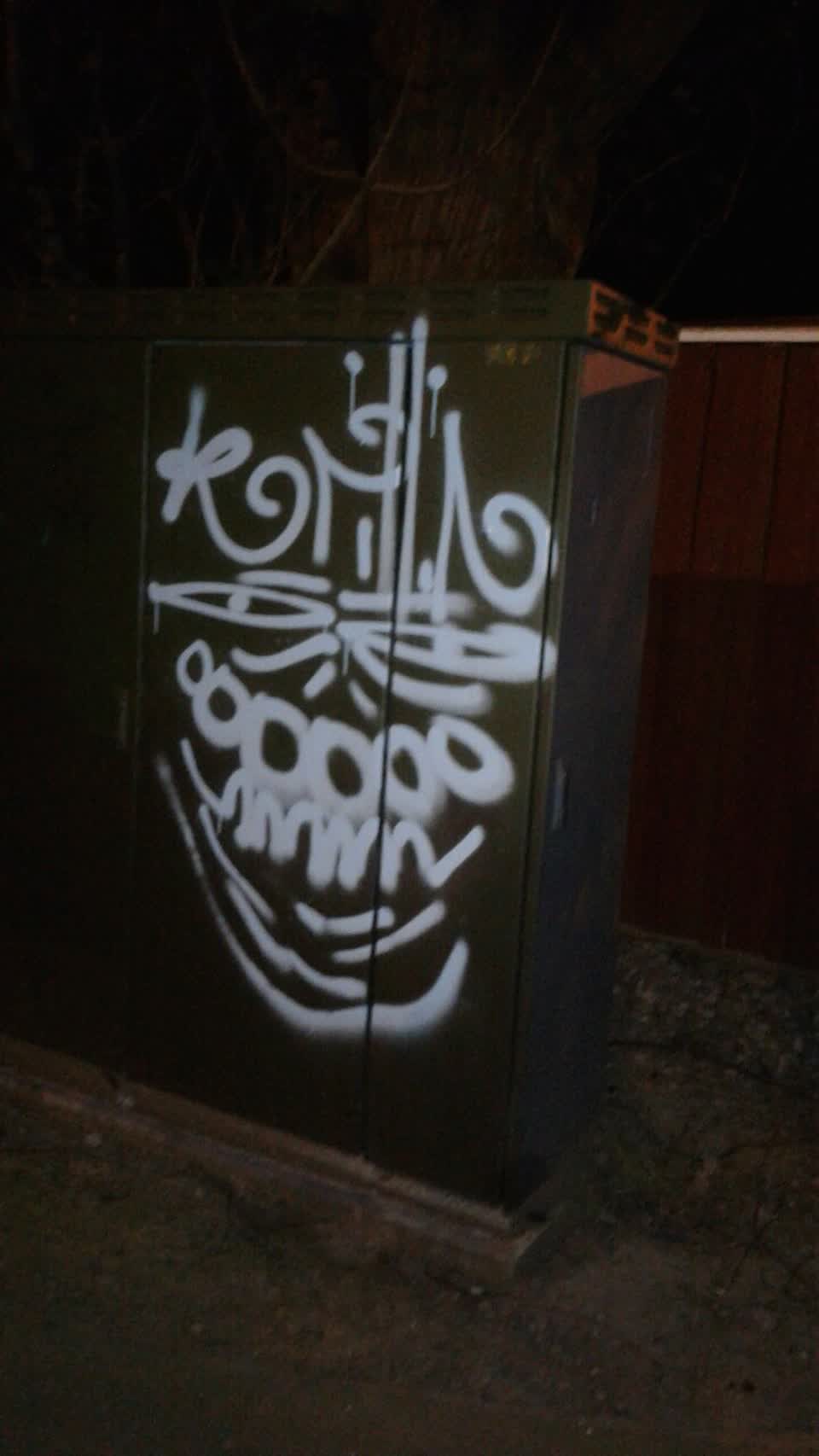 The photograph attached to this graffiti report