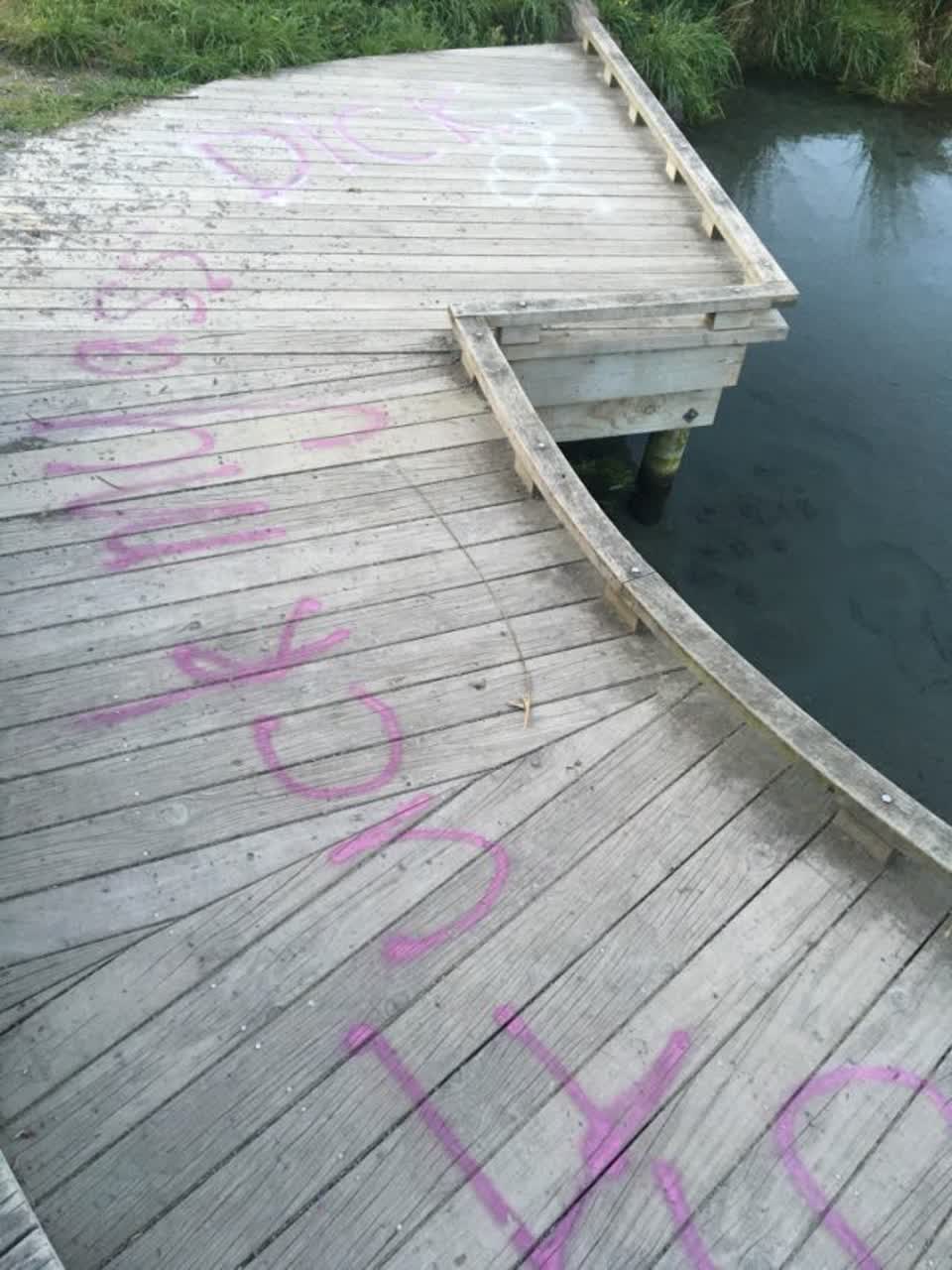 The photograph attached to this graffiti report