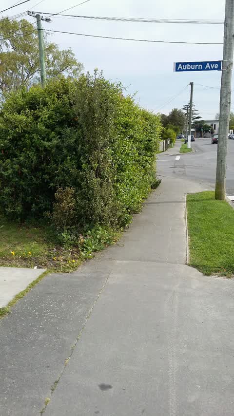 Roading/Streets, a report photo