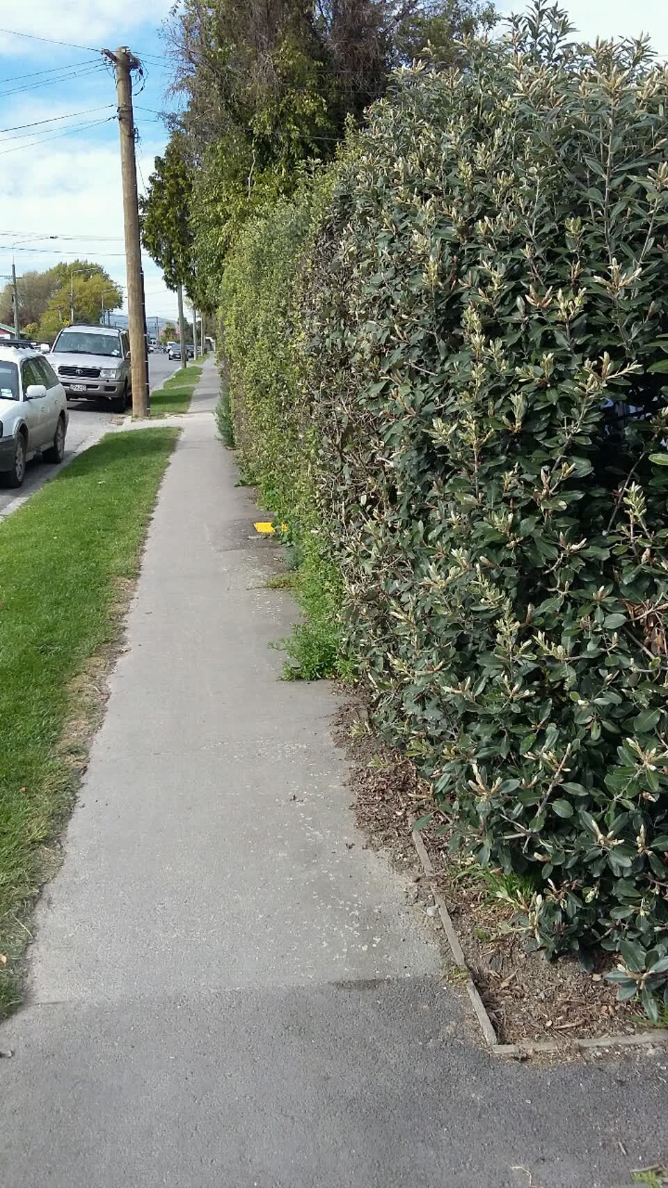 The photograph attached to this roading/streets report