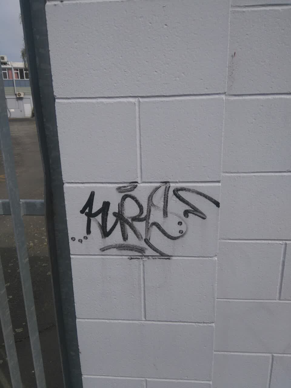 The photograph attached to this graffiti report