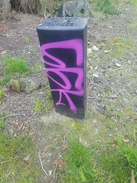 Graffiti, a report photo