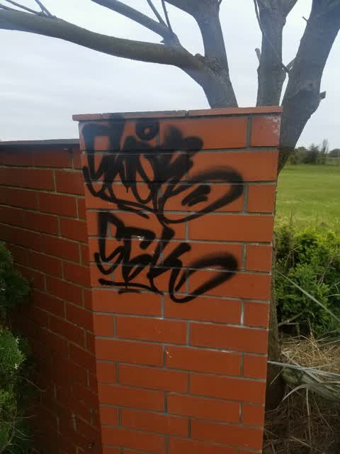 Graffiti — a report photo