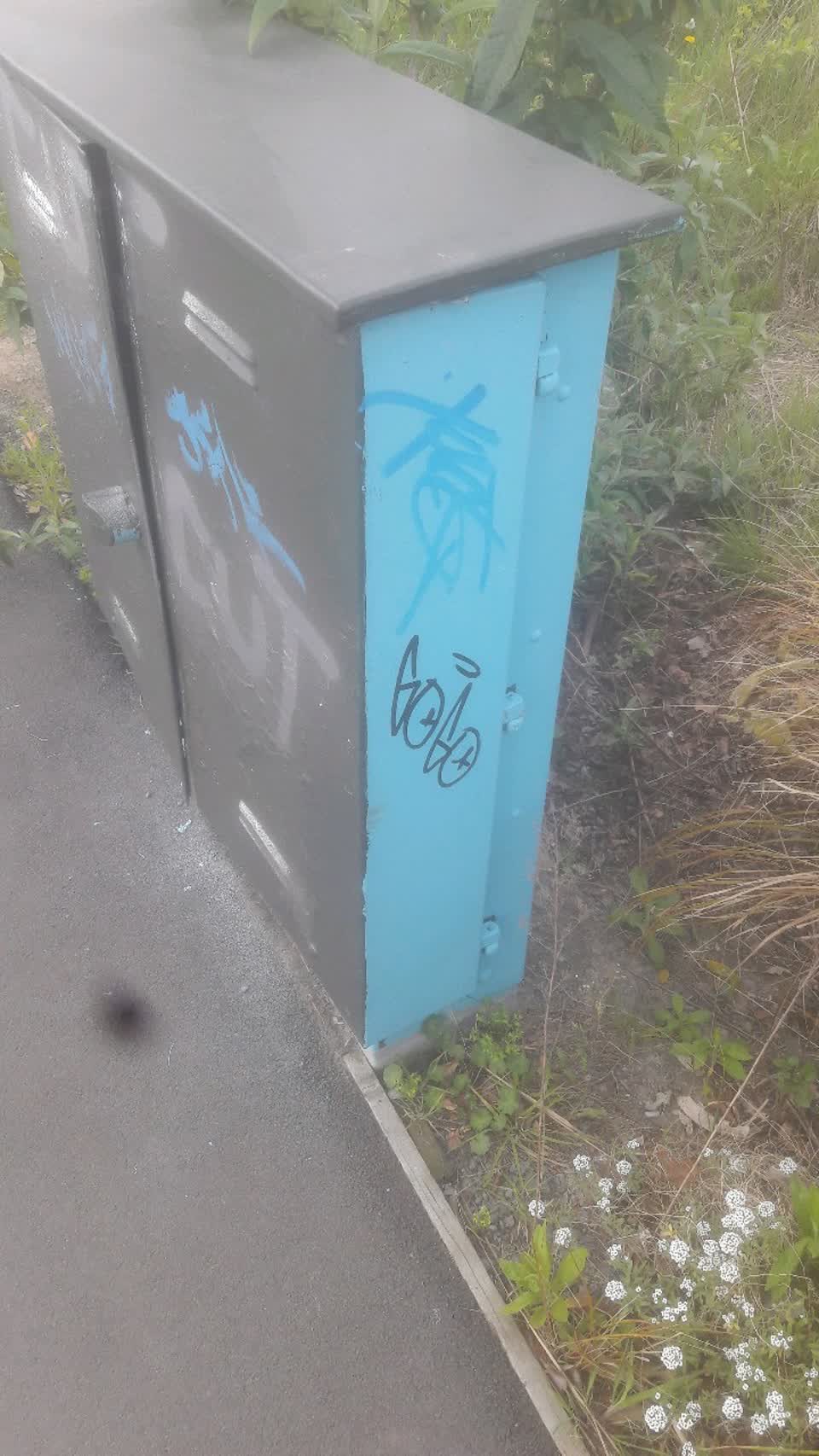 The photograph attached to this graffiti report