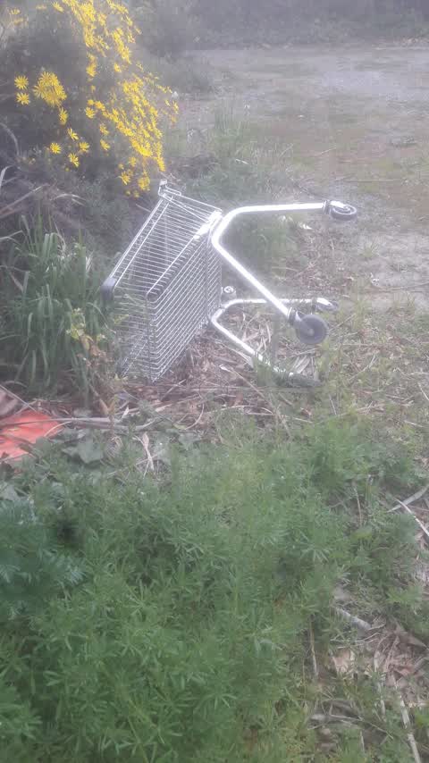 Rubbish/Recycling, a report photo