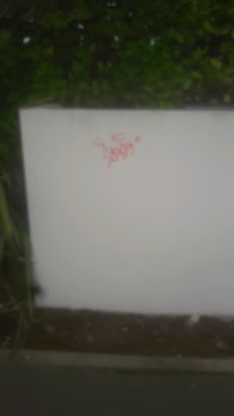 Graffiti — a report photo
