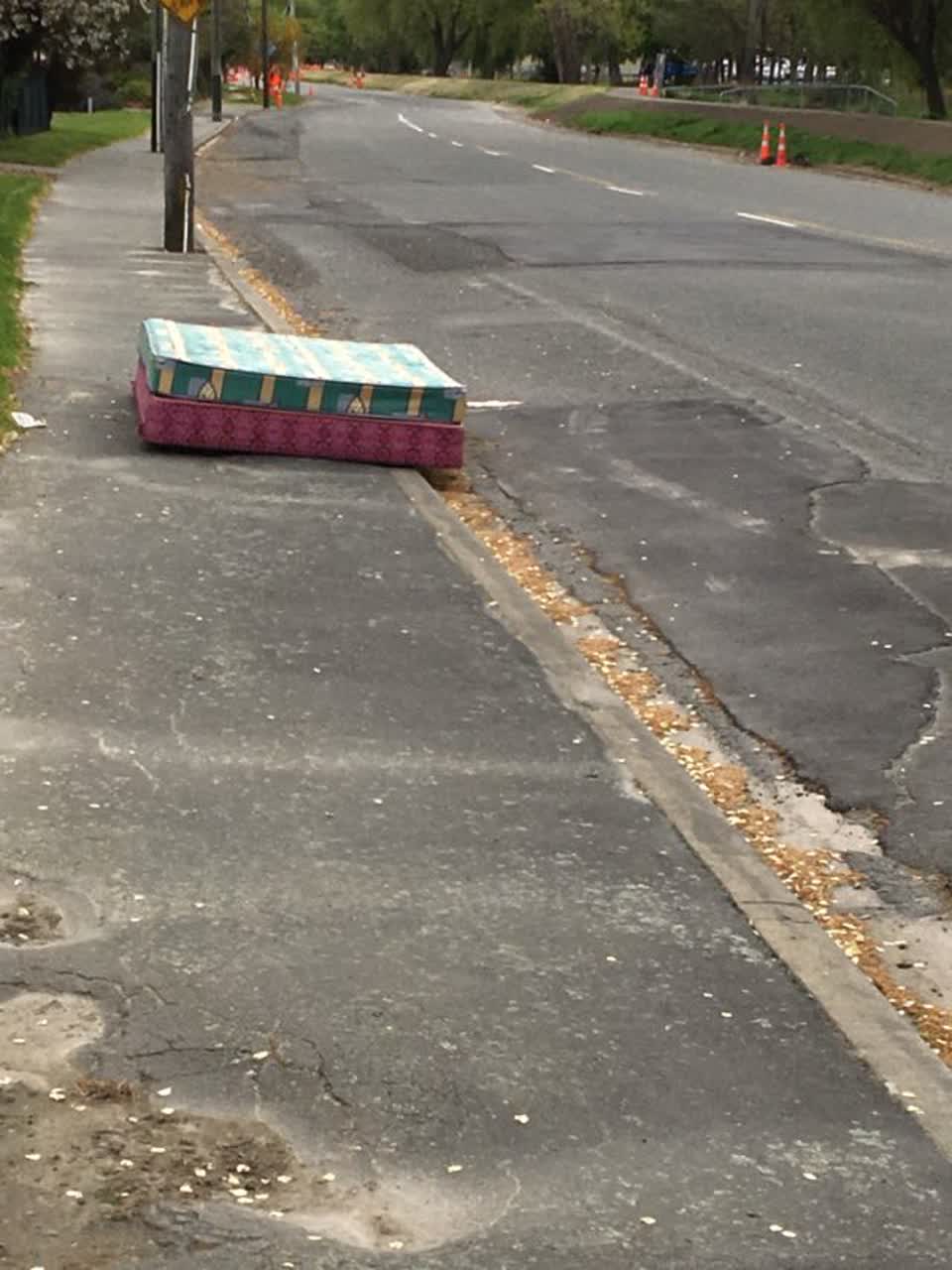 The photograph attached to this rubbish/recycling report
