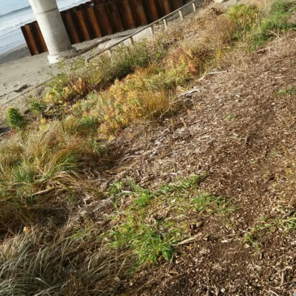 The photograph attached to this parks report