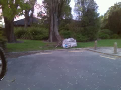 Rubbish/Recycling, a report photo