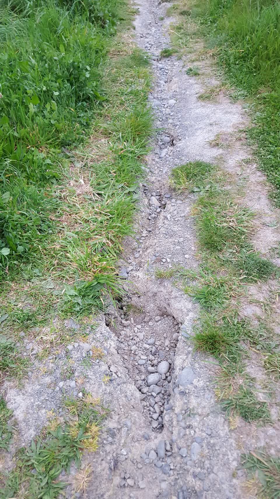 The photograph attached to this parks report