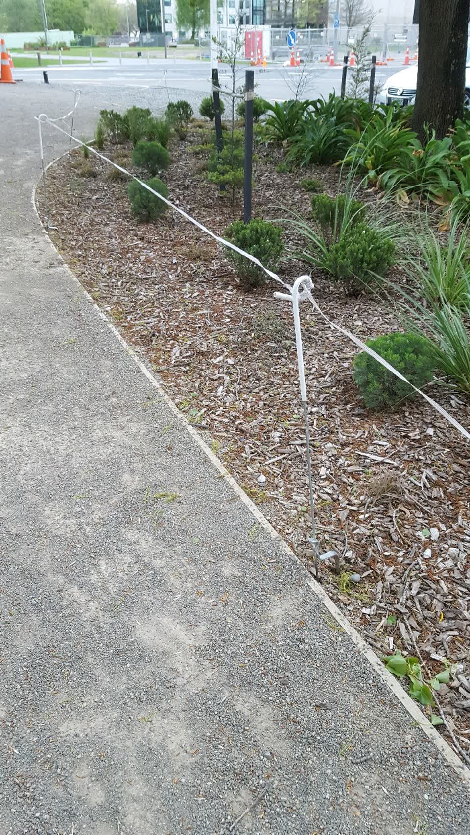 The photograph attached to this parks report