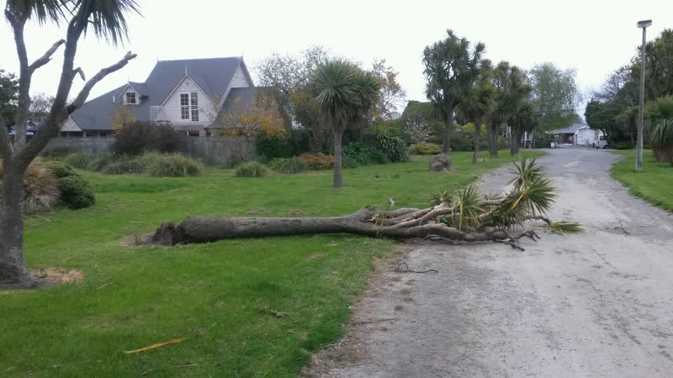 The photograph attached to this parks report