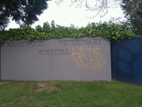 Graffiti, a report photo