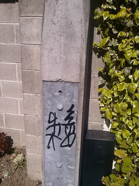 Graffiti, a report photo