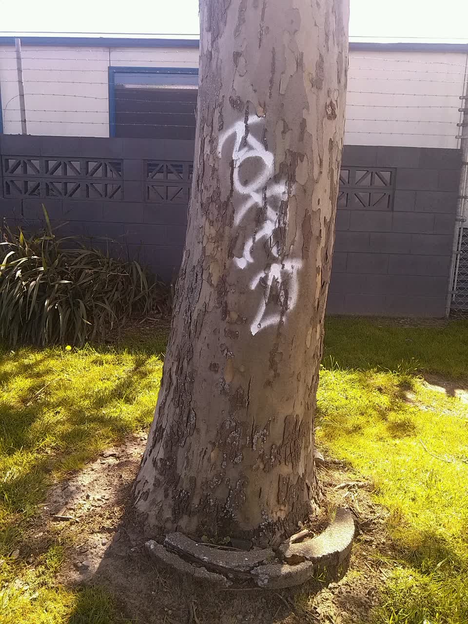 The photograph attached to this graffiti report