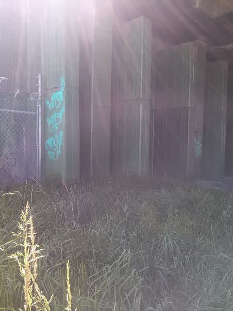 Graffiti — a report photo
