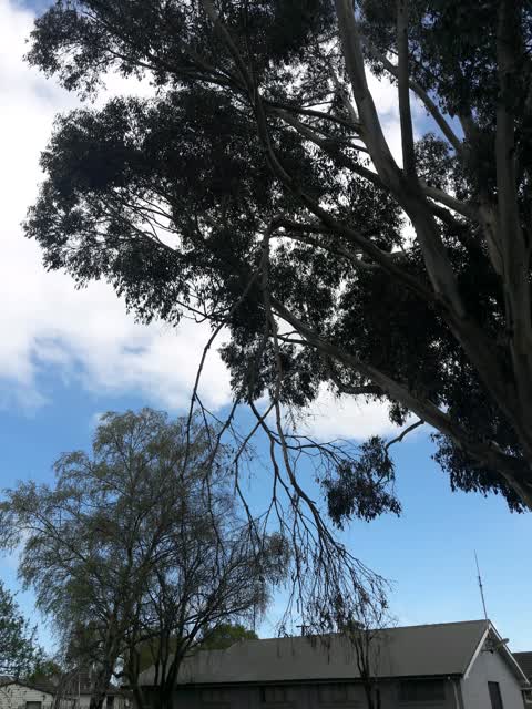 Parks, a report photo