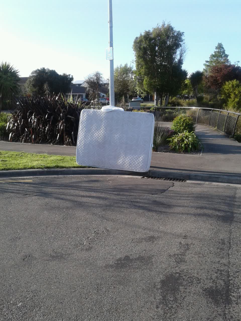 The photograph attached to this parks report