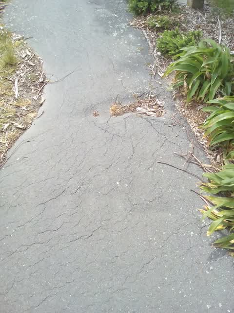 Roading/Streets, a report photo
