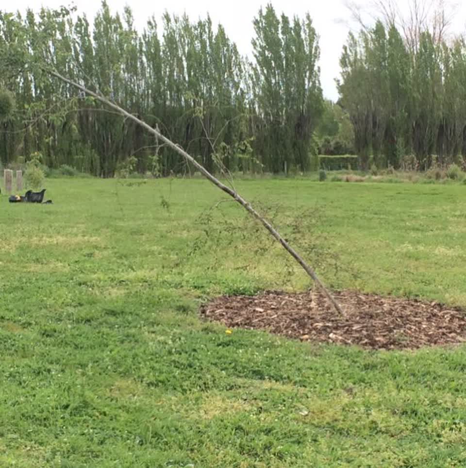 The photograph attached to this parks report