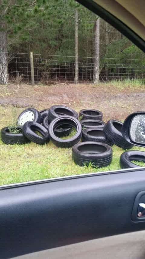 Rubbish/Recycling, a report photo