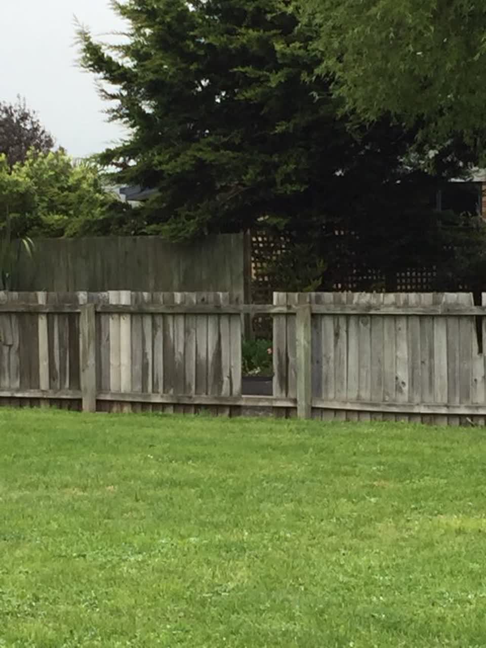 The photograph attached to this parks report