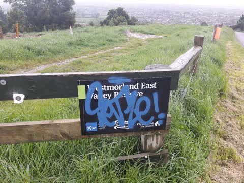 Graffiti, a report photo