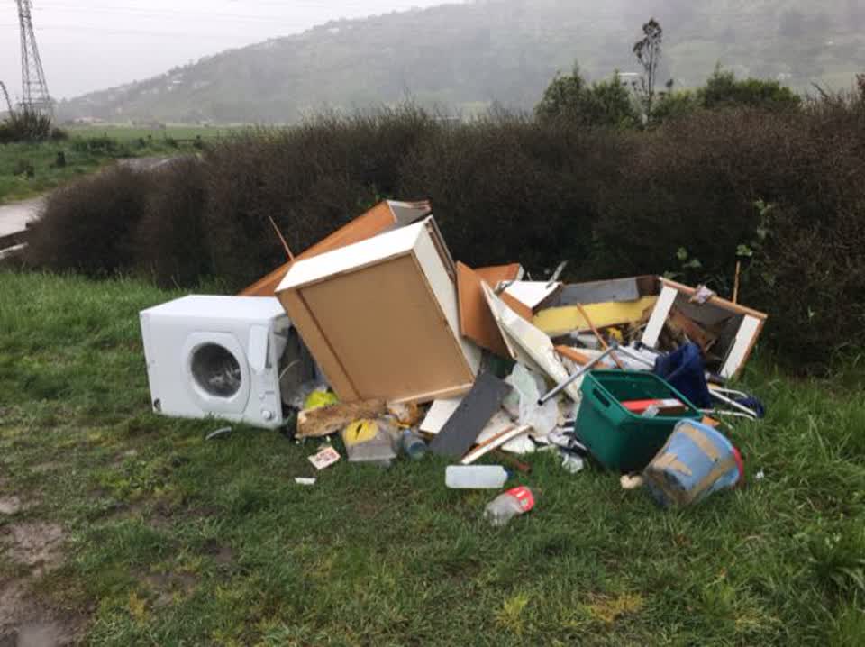 The photograph attached to this rubbish/recycling report